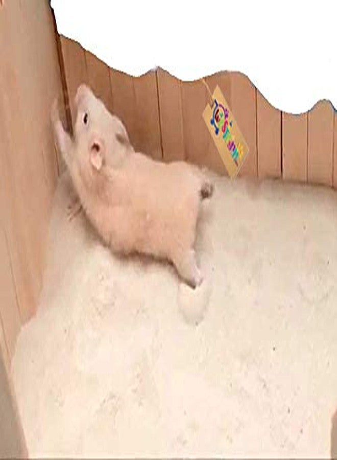 Western Era Playfull Sand Bath for Hamster, Gerbill (200grm) (Apple) - Image 1